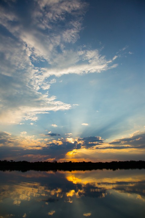 Pantanal - Photo by Pantanal